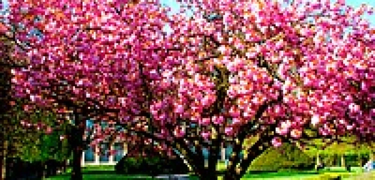 O śmierci, która nie była bezsensowna