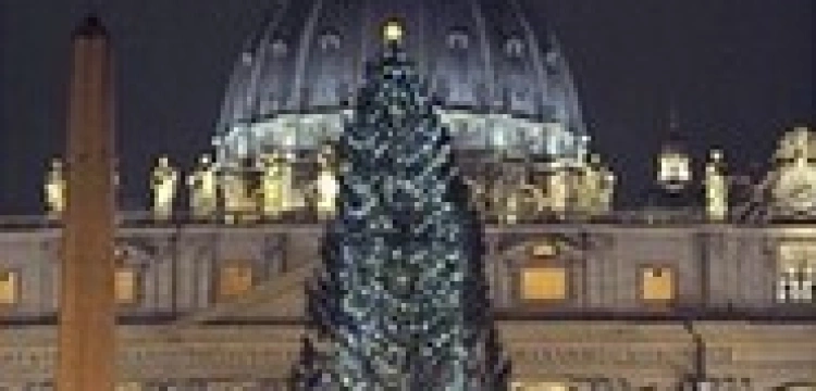 Świąteczne drzewko już w Watykanie 