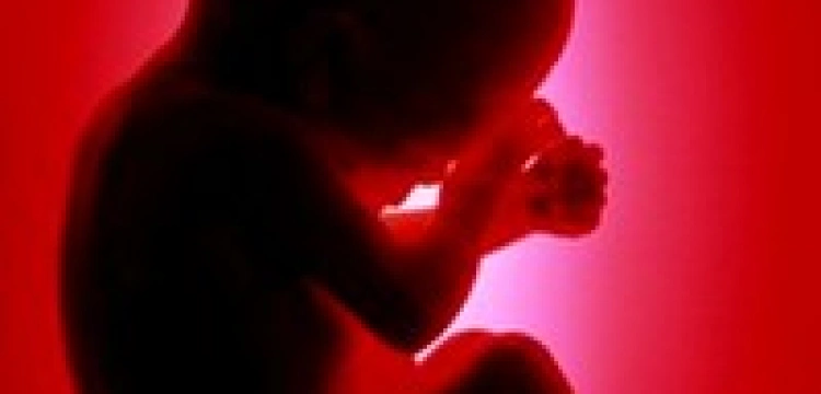 Brazylia: Sąd broni życia dziecka bez mózgu