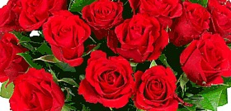 Róże dla Joanny Najfeld za odwagę