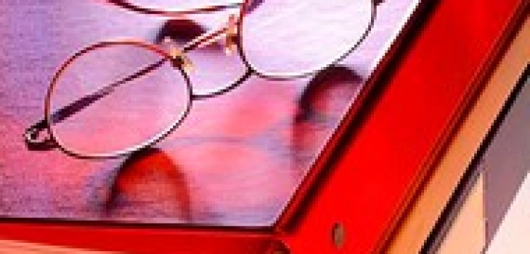 Polscy naukowcy jednak bronią wolności słowa