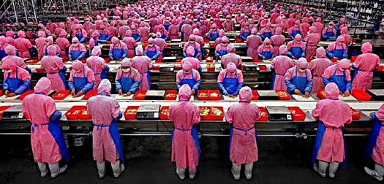 Prof. Kłos: Adam w raju nie leżał do góry brzuchem