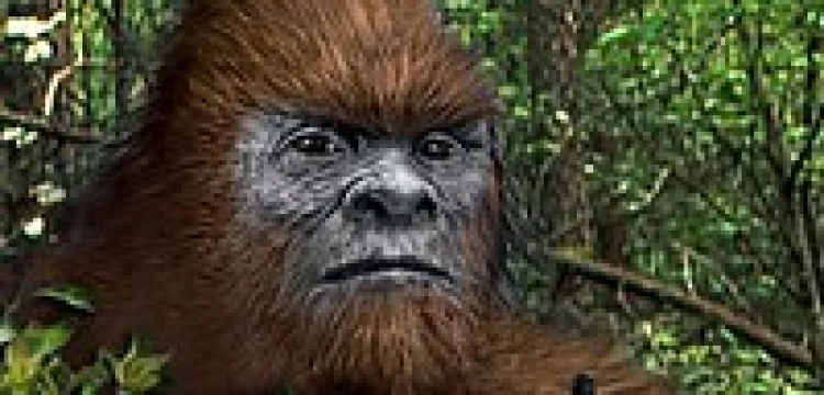 Wolność słowa dla „Wielkiej Stopy”!