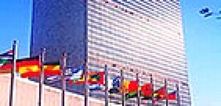 ONZ kontra organizacje aborcyjne i gejowskie