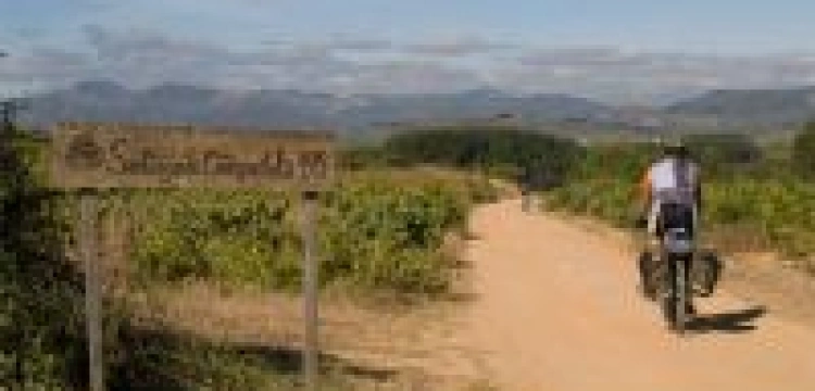 Jak pogłębić duchowość uczestników "Camino"? - zastanawiają się biskupi Francji i Hiszpanii