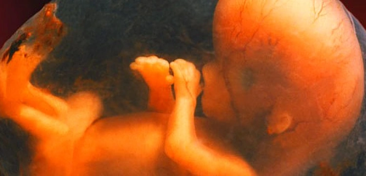 Wyborcza chce zmuszać do zabijania