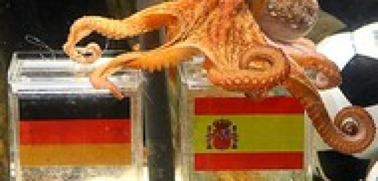 „Głowonóg szerzy zachodnią propagandę”