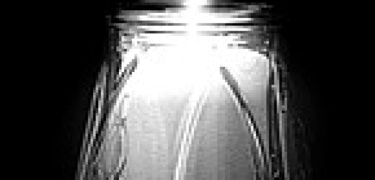 Odszedł pasterz dobry