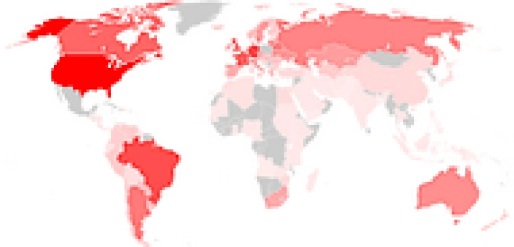 Szukasz przygody i jesteś patriotą? Zostań wolontariuszem Wspólnoty Polskiej