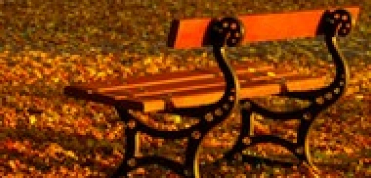 Siedząc obok kobiety molestujesz ją seksualnie