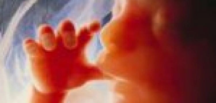 Dzieci można torturować?