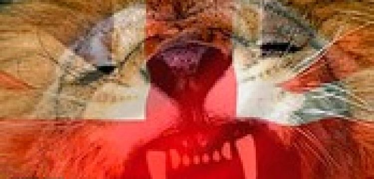 Rada Europy broni Polaków przed brytyjskimi nacjonalistami