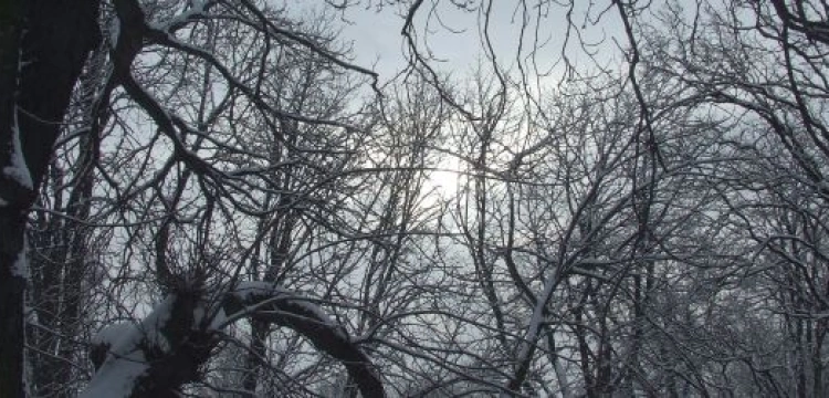 Znaleźć odpowiednie słowa