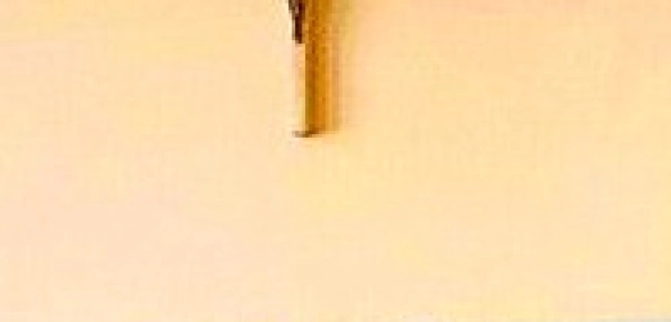 Austriaccy muzułmanie bronią krzyża w klasie