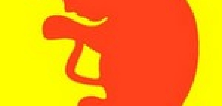 Akcja "Wybierz życie!"