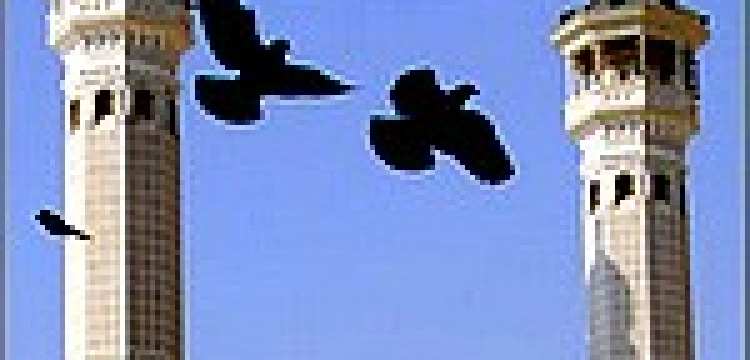 Szwajcaria: „Stop minaretom”