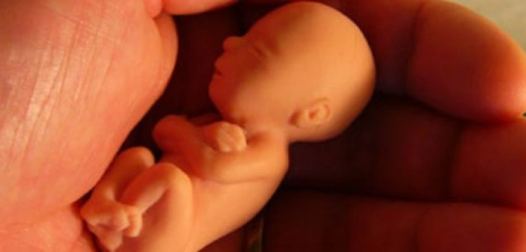 Milcarek: Sprawy Księdza Jerzego