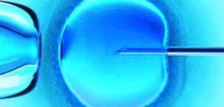 Obywatelski projekt karania za in vitro nie przeszedł w Sejmie