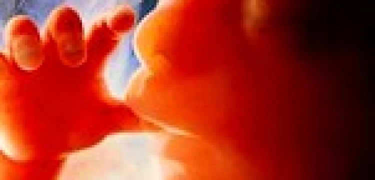 "Dzieci poczęte to osoby". Amerykańscy proliferzy chcą zmian w prawie