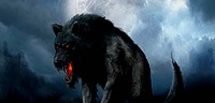 Benedyktowi wilki niestraszne