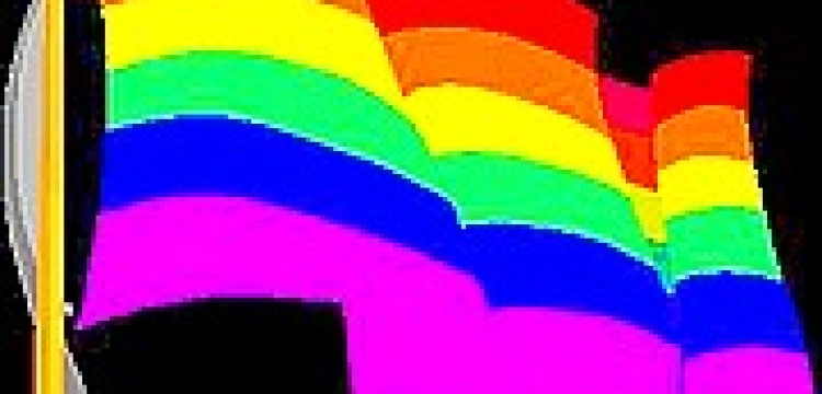 Jak kształtowało się lobby homoseksualne?