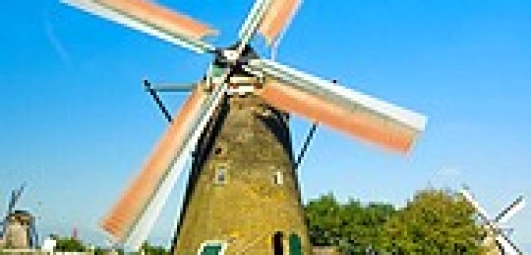 Mieszkańcy dużych miast wybierają Mahometa