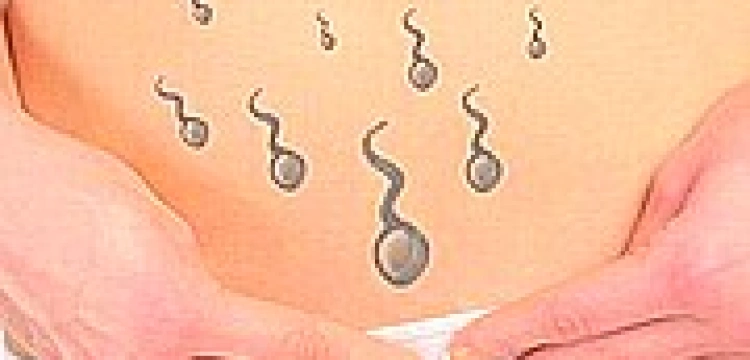 Nowy zawód - reproduktor