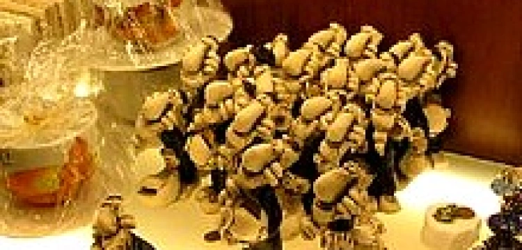 Wykryto antysemityzm na warszawskim Okęciu