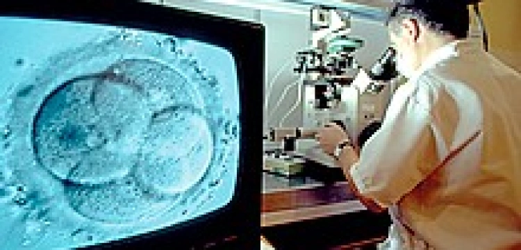 Ewangeliczki i katoliczki wspólnie przeciwko diagnostyce preimplantacyjnej