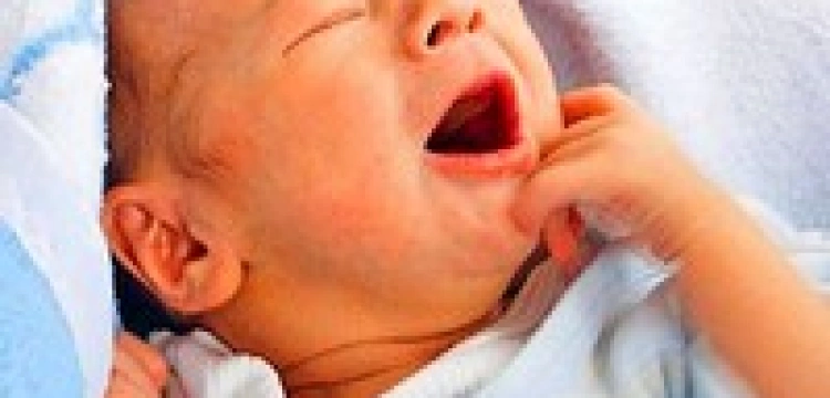 Rzeź niewiniątek w "New York Times"