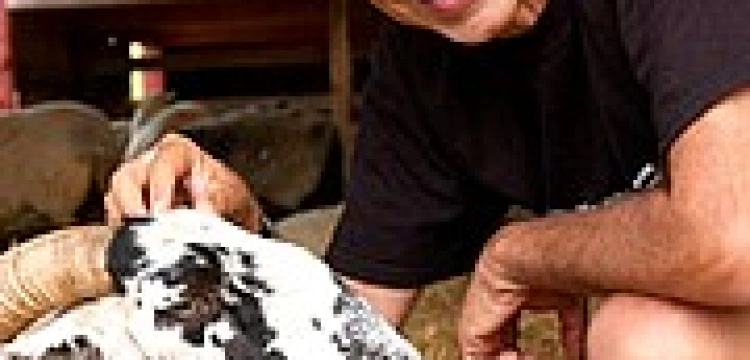 Konferencja z udziałem Petera Singera odwołana na UW