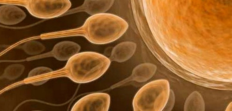 Zrobią dzieci bez rodziców. Czy zaczyna się era produkcji ludzi?