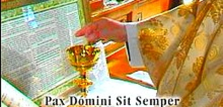 Skąd nauczyć się Mszy trydenckiej? Z DVD