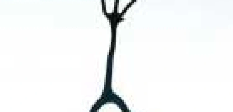 Pogietrychowy bat na chama w akcji