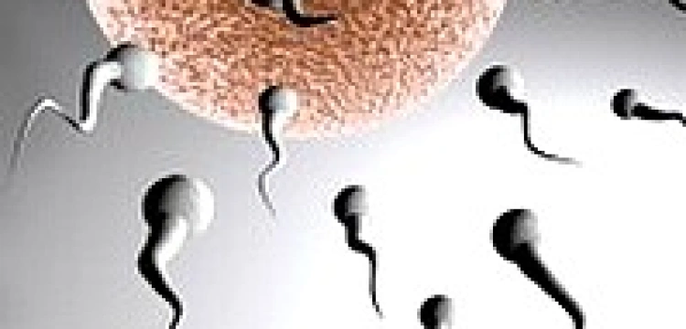 Postarają się o potomstwo online