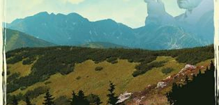 Muzyczny hołd dla Papieża Górola. Premiera nowej płyty De Press "Amen"