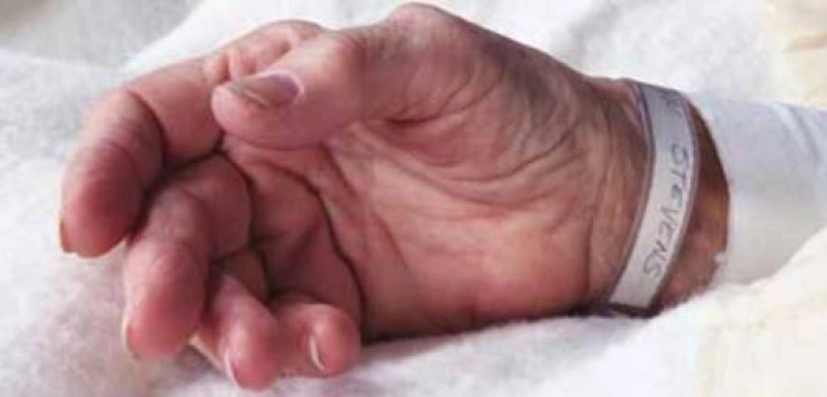 Zabijani dla organów