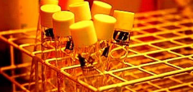 Tusk nie dotrzymał słowa, więc niech ogłosi moratorium na wykonywanie in vitro