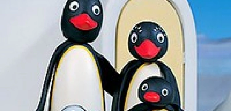 Książeczka o pingwinach-gejach dostępna w Polsce na jesieni