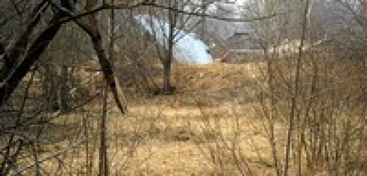 Na miejscu katastrofy w Smoleńsku stanął krzyż 