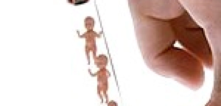 Platforma podzielona przez in vitro. Do Marszałka złożyła dwa projekty