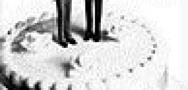 W USA znacząco spadło poparcie dla homo-małżeństw