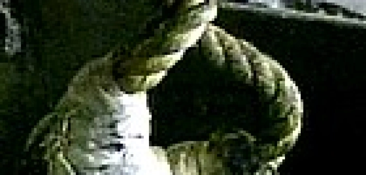 Stracona za rozdawanie Biblii