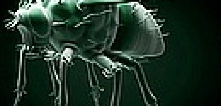  Ekolodzy żałują muchy, ale nie mają zdania na temat aborcji