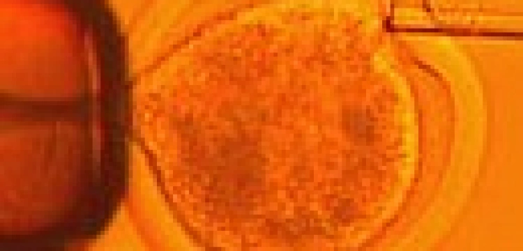 Georgia jako pierwszy stan w USA umożliwiła adopcję zarodków