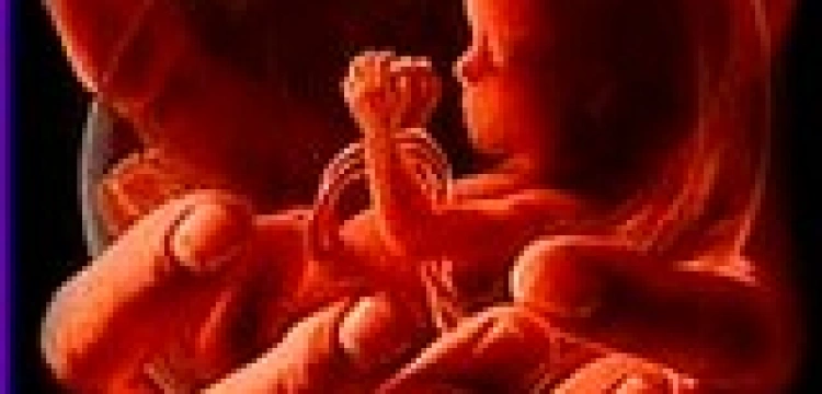 Kongregacja Nauki Wiary wyjaśnia nieporozumienia wywołane przez abp. Fisichellę