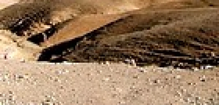 W dolinie Jordanu odnaleziono jaskinię pierwszych chrześcijan