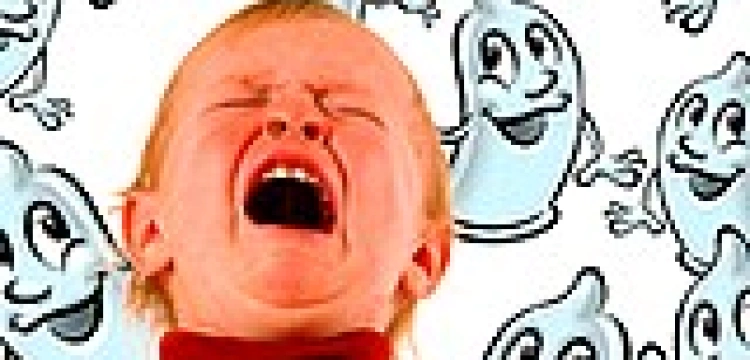 O. Knotz: "Bądźcie szybsi od pornografii internetowej"