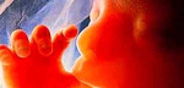 Hiszpańscy lekarze przeciwko aborcyjnym planom Zapatero