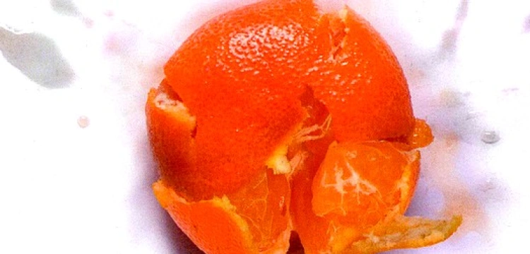 Dwa polskie przebudzenia według Horubały